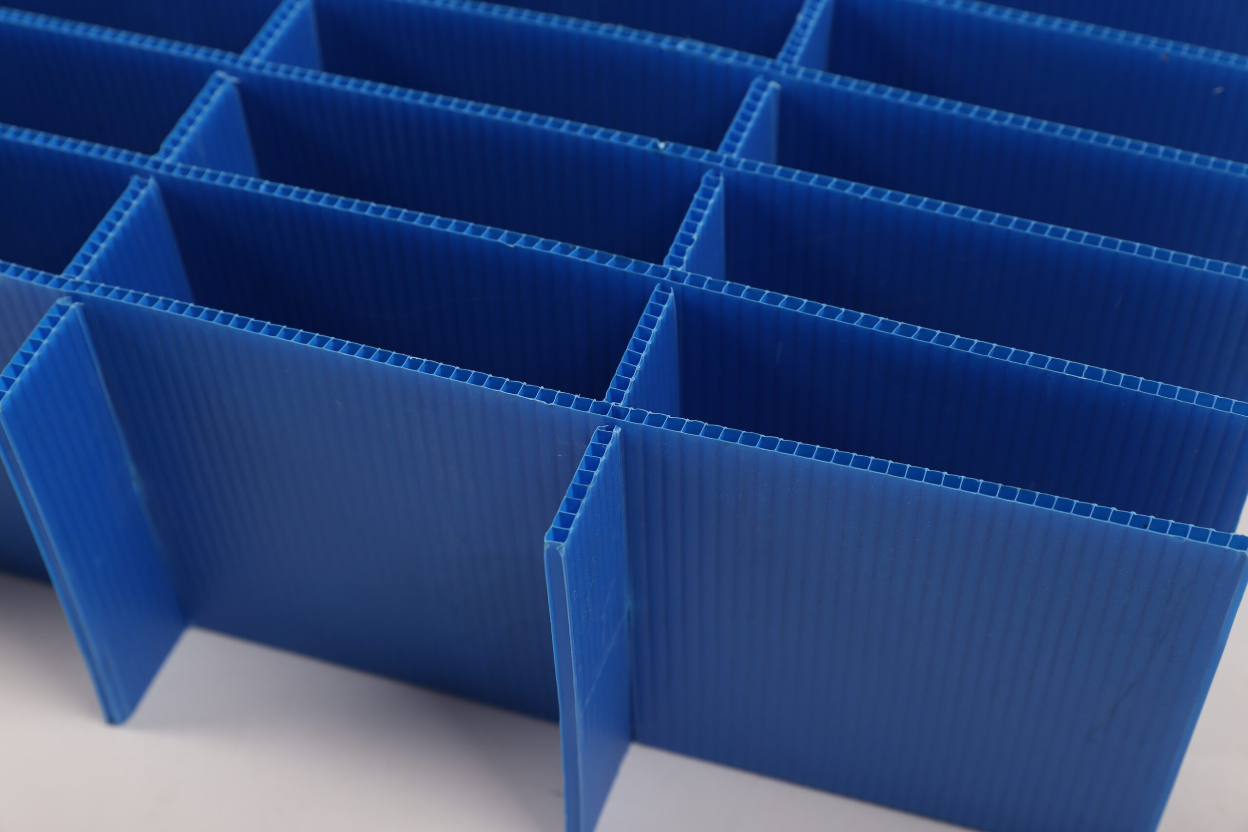 AG真人官方(中国)官方网站IOS/安卓通用版/手机app下载